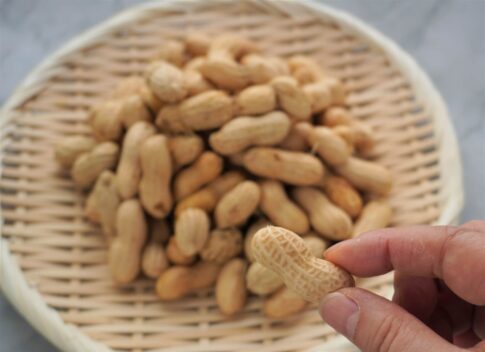 「ピーナッツ」「落花生」「南京豆」の違いとは？わかりやすく簡単に解説